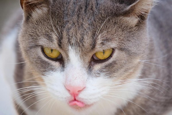 Welche Schuhe sind ein Must-Have für den Winter?